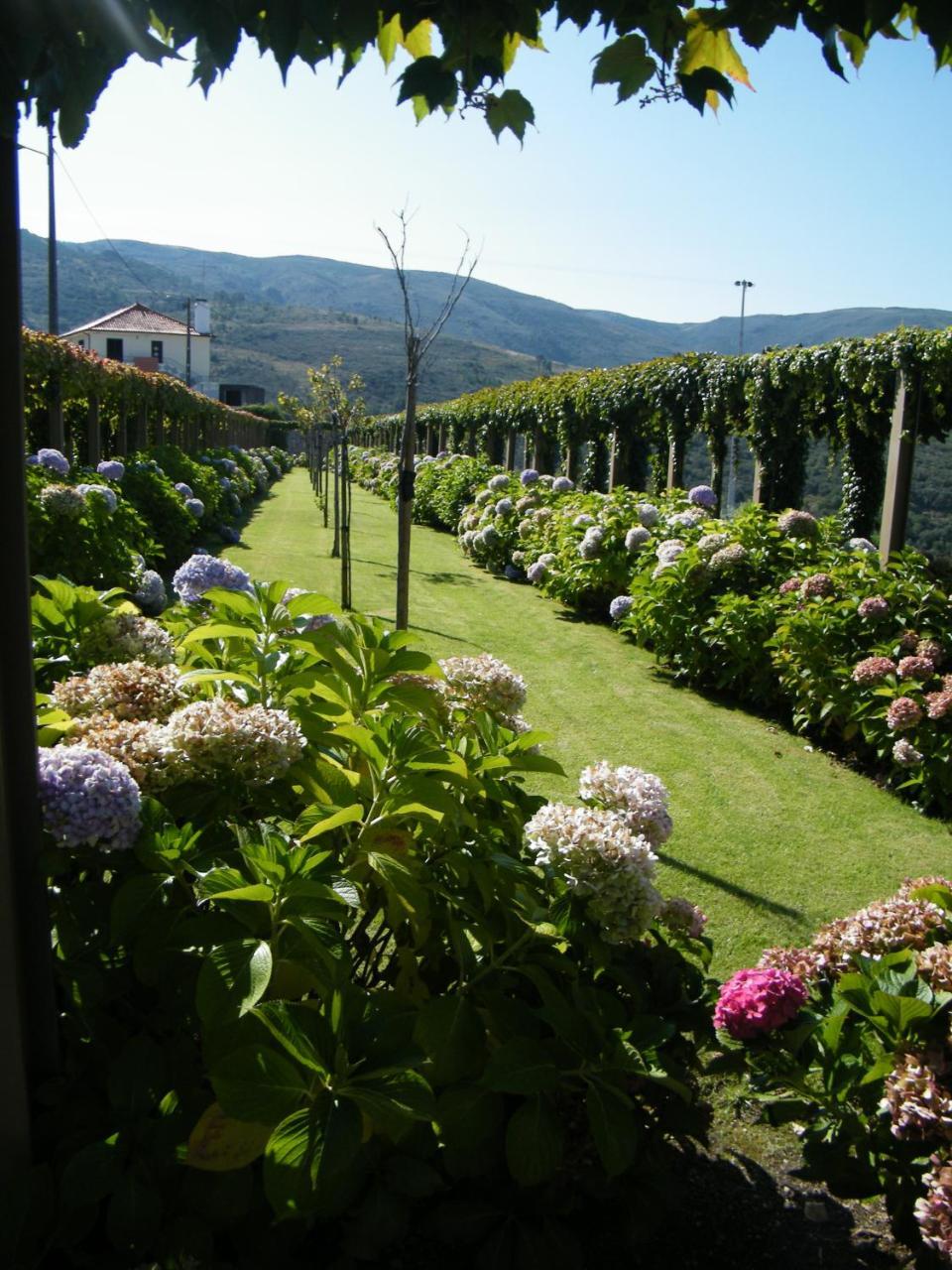 Inatel Linhares Da Beira Hotel Rural Exterior photo